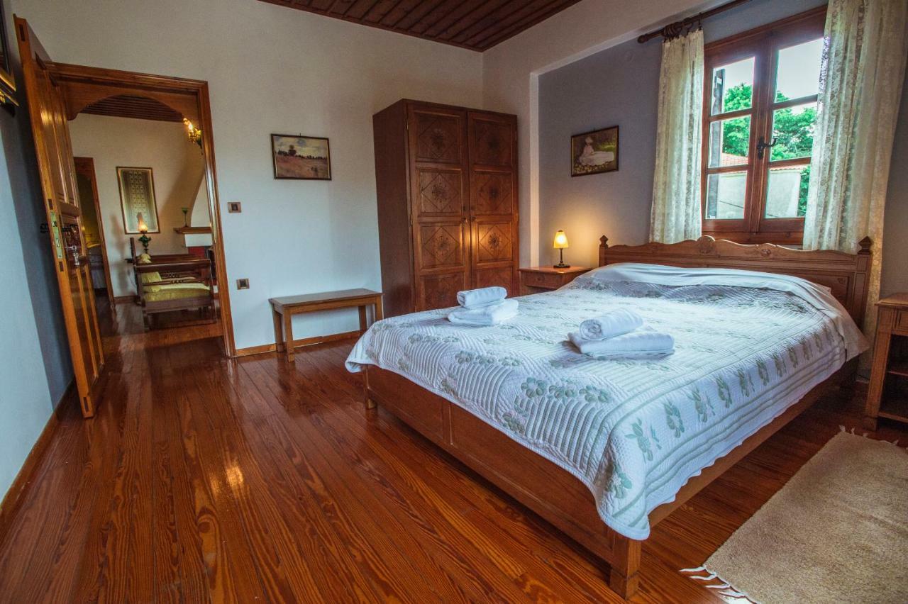 Archontiko Panagoula Hotel Portariá Buitenkant foto