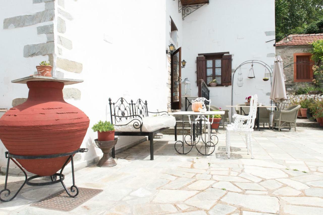Archontiko Panagoula Hotel Portariá Buitenkant foto